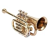 trompeta pocket precio Longitud: 13,5 pulgadas. Best Quality BB Pitch bolsillos de trompeta con estuche y boquilla, Goldenes latón patrón de Nasir Ali
