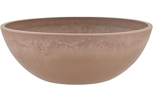 PSW POT COLLECTION PSW Maceta Baja Poco Profunda para suculentas, bonsái, Jardines de Hadas, Hierbas, Madera de Piedra de plástico, Color Gris Pardo, 12 Pulgadas