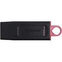 Kingston DataTraveler Exodia DTX/256GB Flash Drive USB 3.2 Gen 1 - con cappuccio protettivo e anello portachiavi in colori mu