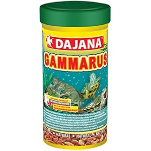 DAJANA Gammarus, 6er Pack (6 x 25 g)