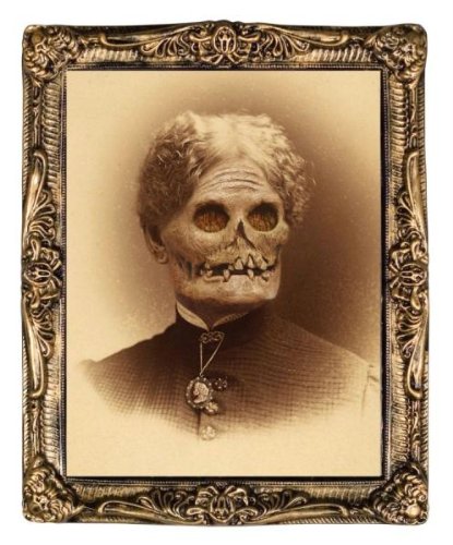 Mr10251 Holographic Portrait Aunt Hazel 17 X 21 Print With Molded Plastic Frame