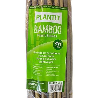 Plant It 25x Tuteurs / Tiges de bambou naturel pour plantes 6/8mm (120cm)