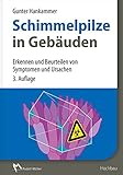Image de Schimmelpilze in Gebäuden: Erkennen und Beurteilen von Symptomen und Ursachen