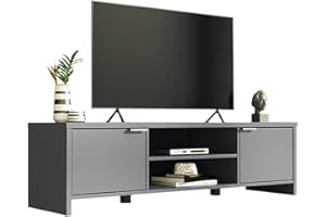 Madesa Mueble TV, Mesa Moderna para Salón y Dormitorio con 2 Puertas para TV de 65 Pulgadas, 145 x 38 x 40 cm, Madera - Gris
