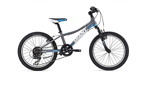 giant 20 inch mountain bike