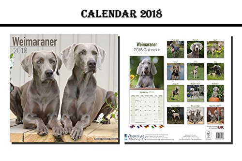 Download WEIMARANER CALENDAR 2018