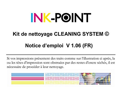 Limpieza de los cabezales de impresi  n Kit de impresora de inyecci  n de tinta 30ml RSNROCKET limpiador hecho en Alemania con la jeringa y la inyecci  n de fuelle exclusiva destapa las impresoras boquillas