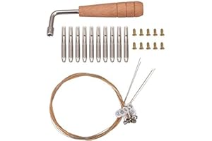 Anlayliay 10 Stück Stimmstift Nägel und 10 Nieten, Stimmschlüssel in L-Form, 10 Saiten von Laiyaqin für Werkzeug, ein Seil für Harfe, eine Lira