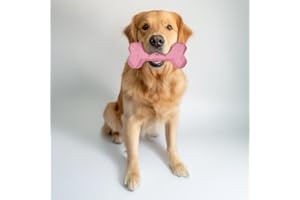 RIOLINO MIT DER PFOTE DIREKT INS HERZ Kauspielzeug für Hunde Kauknochen robust & langlebig: Hundespielzeug gegen Langeweile aus Naturkautschuk für aggressives kauen - befüllbar, robust & gut für die Zahnpflege | Farbe: Rose, Größe: M