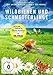 Wildbienen und Schmetterlinge