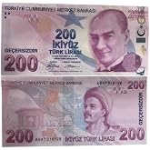 My Skills - 200 TL Invalid Joke Money Wedding Money