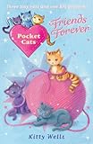 Cover zum Buch Pocket Cats: Friends Forever