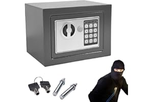 EFAN Cassaforte Hotel 4,6L, Piccola Cassetta di Sicurezza Elettronica Digitale con 2 Chiavi di Emergenza, Cassaforte da Armadio, Cassaforte a Muro, per Casa, Ufficio o Viaggi, 23x17x17cm, Grigio