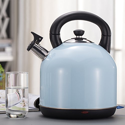 TXZ Bouilloire lectrique 304 en Acier Inoxydable Bouilloire lectrique Maison Coupe Automatique Bouilloire Bouilloire 10000