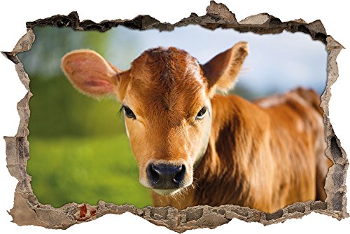 Junge Kuh Kälbchen Wanddurchbruch im 3D-Look, Wand- oder Türaufkleber Format: 92x62cm, Wandsticker, Wandtattoo, Wanddekoration