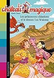 Chateau magique - Tome 16 : Princesses chinoises et démon su wukong