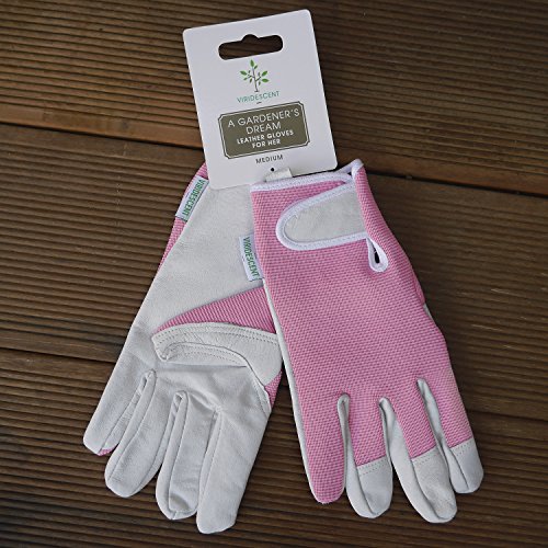 Lederne Gartenhandschuhe für Damen (mittelgroß / kleine Größe) – von Viridescent. Frauen lieben diese rosa, femininen, eng anliegenden Handschuhe. Schützend, bequem und langlebig (sogar sicher für das Zurückschneiden von Rosen). Die beste Geschenkidee für jede Gärtnerin. Kaufen sie es heute im Schlussverkauf! - 9
