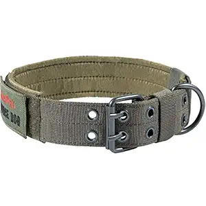 JIEPAI Military Dog Collar Adjustable Nylon k9 Tactical Dog Collar with D-Ring & Buckle Collars for Medium Large Dogs (Ranger Green,M)