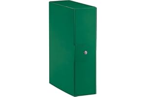 Esselte C28 EUROBOX Cartella per Progetti, 25 x 35 cm, Dorso 8 cm, Verde, Confezione da 1, 390328180