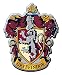 Produktbild Cinereplicas 4 x 5 cm Harry Potter Gryffindor Wappen Kühlschrank Magnet