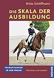 Image de Die Skala der Ausbildung: FN-Richtlinien in der Praxis