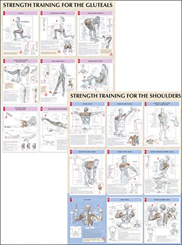 Strength Training Anatomy Poster Series (Poster) livre