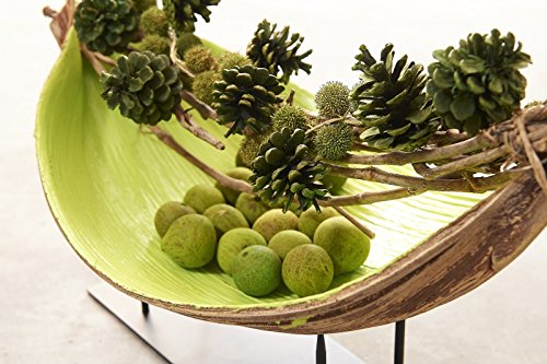 NaDeco Kokosblatt Galera offen | Kokosschale Galara | Palmenschale | Palmenblatt | Kokos Schale - 3