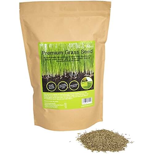 Amazon.co.uk fast growing grass seed