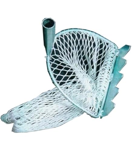 Râteau à Moules 9 Dents Acier Inox : Manche Bois 120 Cm Pour Pêche à Pied