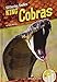Produktbild King Cobras (Slithering Snakes: Dash! Leveled Readers, Level 1)