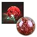 Produktbild Krüger & Gregoriades 984220 - LED Flummi "Wasser-Glitterball", 65 mm