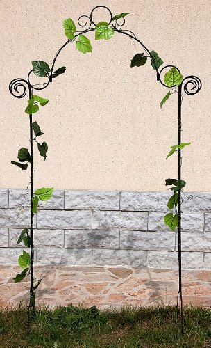 DanDiBo Spalier Rosenbogen 80008 Rankhilfe Rankgitter H-160 cm Kletterhilfe Pergola Zaun - 2