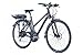 Produktbild 28" Zoll Alu LEADER FOX Denver Lady E Bike Elektro Fahrrad Trekking Pedelec Damen 36V 13Ah schwarz Disc