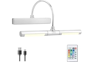 BIGMONAT Luz de imagen Batería Luz recargable inalámbrica para cuadros con control remoto,luz de pared regulable para pintar cuadros, exhibición con 12 cambios de color,4000K 180LM 28 LEDs-Plata