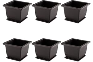 通用 Bonsai doniczki treningowe z tacą na kwiaty, kwadratowe, do ogrodu, salonu i biura, donica na rośliny bonsai, 6 sztuk