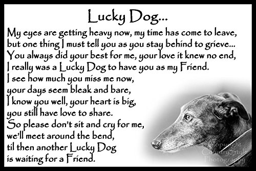 Greyhound-Lurcher-Whippet-pet-dog-memorial-Fridge-Magnet-Lucky-Dog