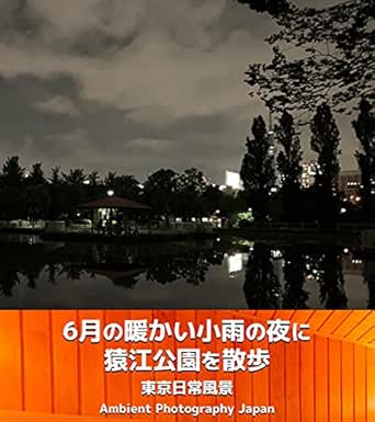 A Night Walk In Sarue Park On A Warm Light Rainy Day In June Tokyo Everyday Scenery Series Japanese Edition Ebook Ambient Photography Japan Amazon In Kindle Store