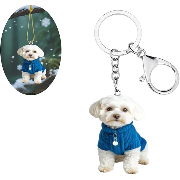 Portachiavi In Acrilico A Forma Di Gatto - Accessorio Carino Per Chiavi E Borse, Regalo Per Amanti Dei Gatti