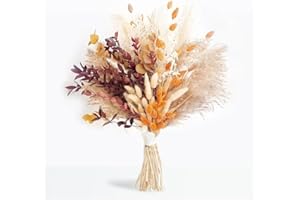 GIDWRIY 64 Piezas Pampas Decoracion,Flores Secas Decorativas,Dried Flowers Bouquet,Hierba de La Pampa Planta,Pampa Seca Natural,Flores Secas Preservadas Manualidades,Pampas Plantas para Boda Hogar