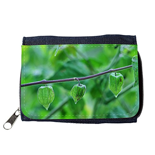 Preisvergleich Produktbild Portemonnaie Geldbörse Brieftasche / / M00237038 Physalis Fruit Stachelbeere / / Purse Wallet