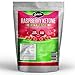 Produktbild Raspberry Ketones Extreme - 3000mg Tagesdosierung - 90 Kapseln - 100% Himbeere Ketone - Fatburner - Diät Ergänzung - German Elite Nutrition
