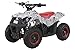 Produktbild Miniquad Kinder Atv Tiger 49 cc Pocketquad 2-takt Quad Pocket Bike Kinderquad