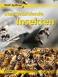 Staatenbildende Insekten by Wolf Spillner
