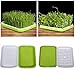 Produktbild samen sprouter tray bpa frei baumschule tablett für sämlinge weizen grassierer pflanzer hydroponics samen keimung tablett für garten home office von yunhigh