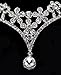 FOONEE Rhinestone Wedding Bridal Heart Crowns Tiaras Headpiece for Pageant Quinceaneras (Silver)