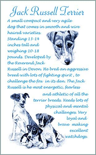 Jack Russell Terrier Dog Gift - Unique Breed Facts Microfibre Tea Towel.