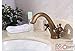 Produktbild SADASD Robinet de lavabo Cuisine en cuivre antiquaire Double cuvette de rotation 360 ° Robinet simple Robinet de salle de bain à usage unique Robinets de salle de bains (eau chaude et froide)