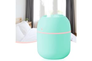 Mini Water Humidifier, LULUWA 220ml Small Portable USB Powered Cool Mist Air Desktop Diffuser with Soft Night Light for Car Bedroom Office (Green)