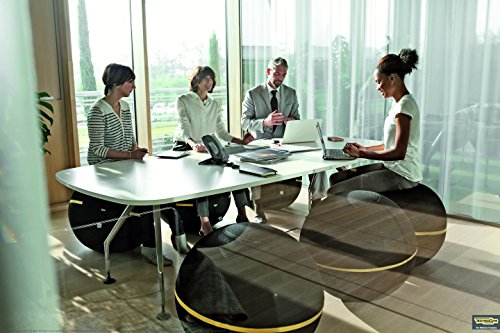 Technogym Wellness-Ball-Active Sitting - 6