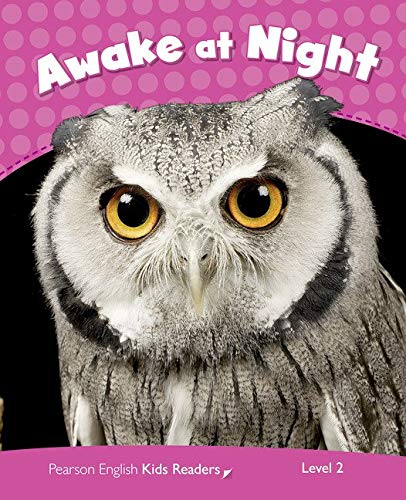 Penguin Kids 2 Awake At Night Reader CLIL